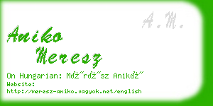 aniko meresz business card